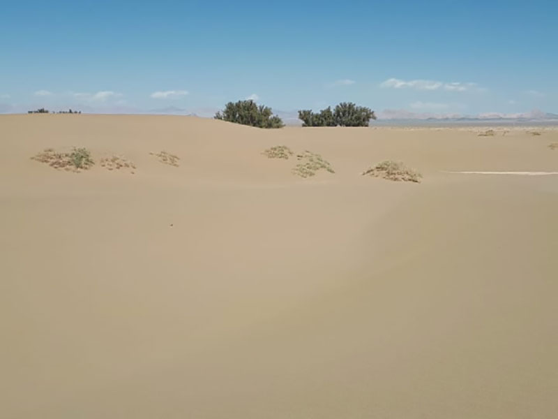 کویر در بهار