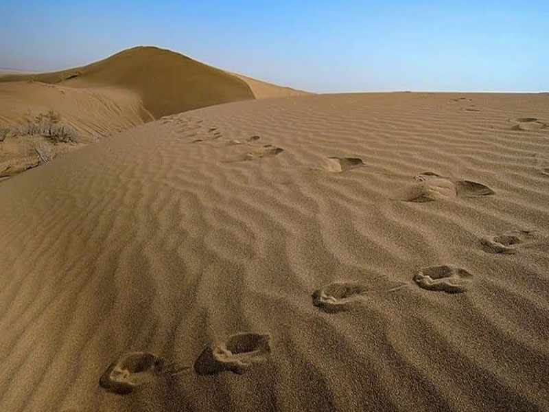 کویر