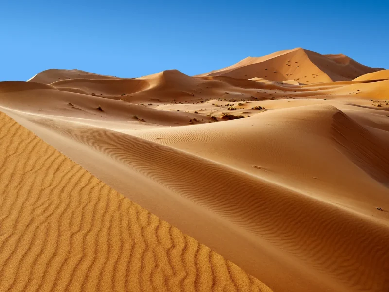 صحرای بزرگ آفریقا، درخشش شنهای طلایی در قلب قاره سیاه