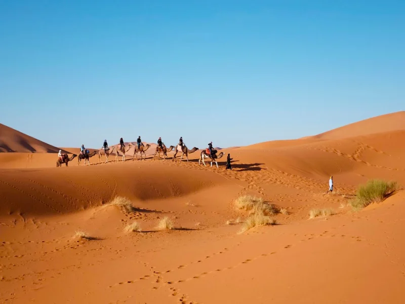 کویر یزد، قلب تاریخ و هنر در سرزمین بادگیرها